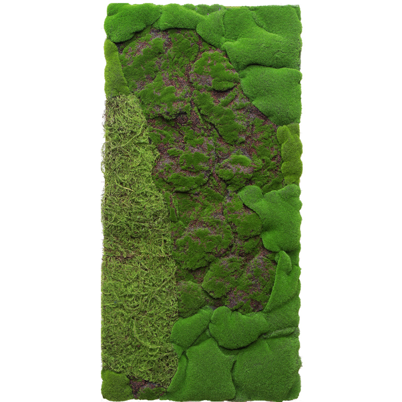 Фитостена 124 (1кв.м)