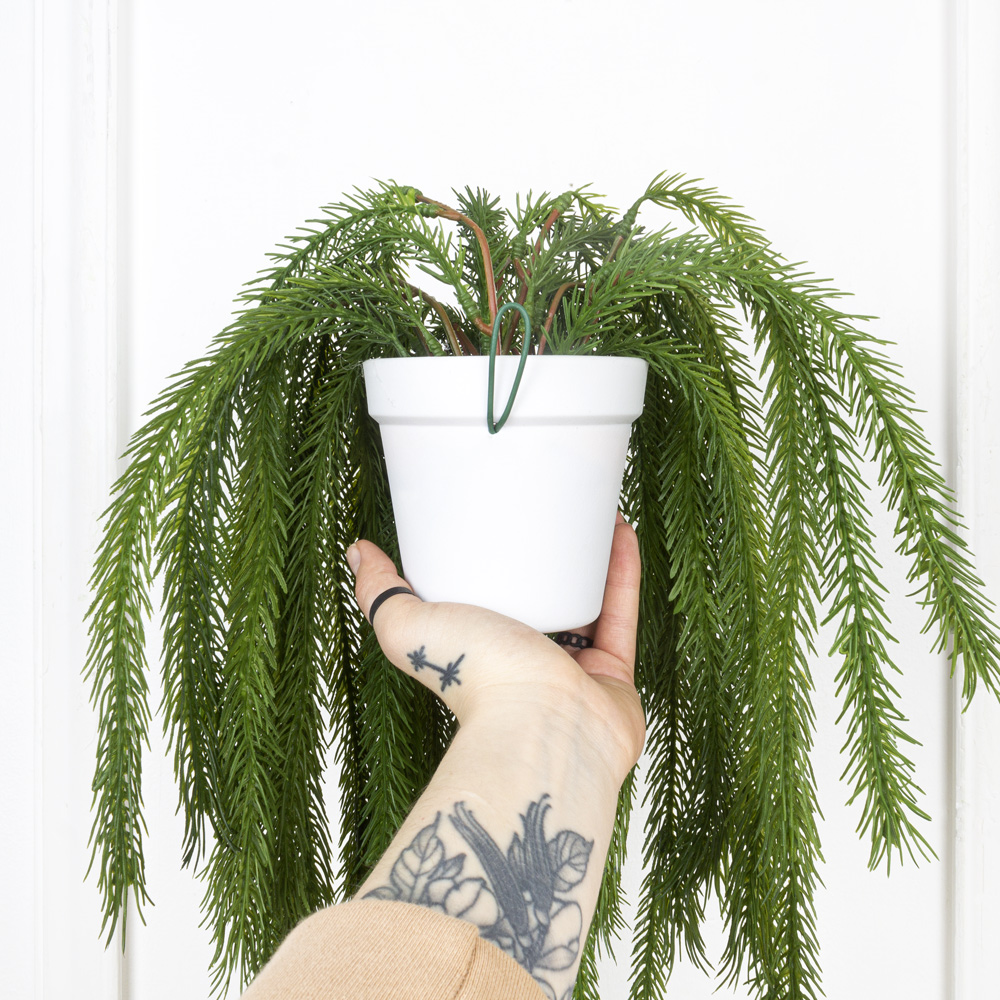 КС100 Ликоподиум (плаун) ампельный искусственный в кашпо_8