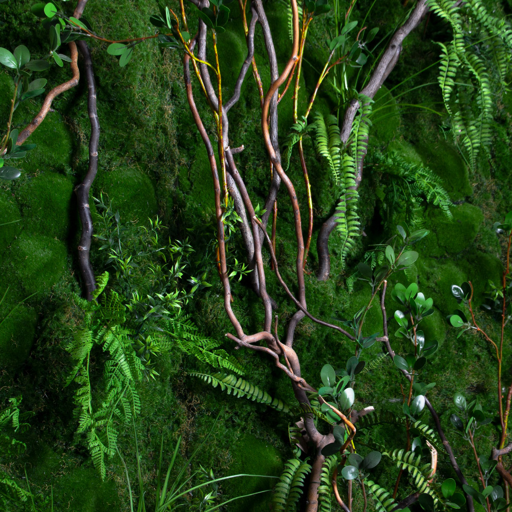 ФТС205(Пр)(F) Фитостена,  за 1кв.м_3