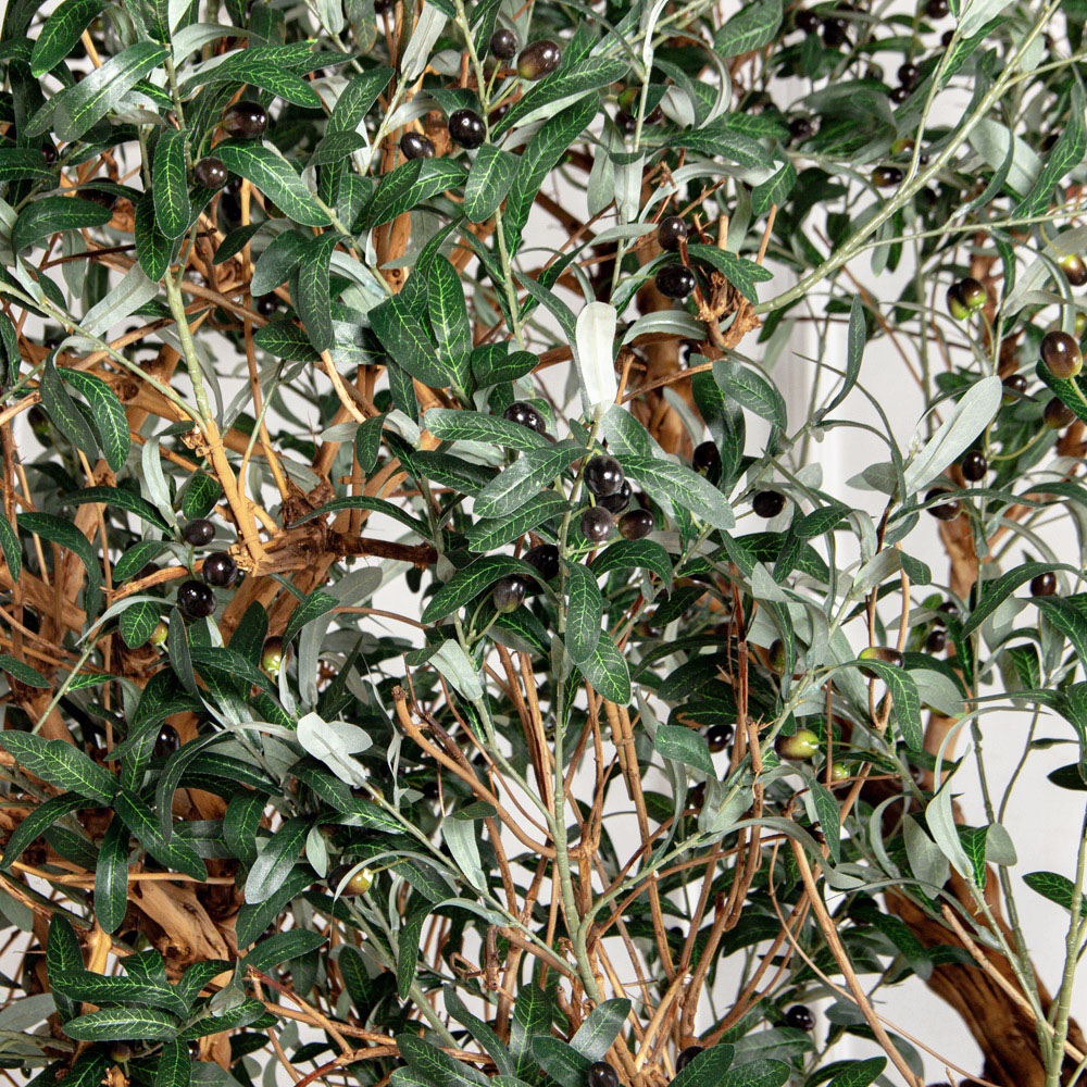 310Гбст/разб/АСС/Д3х4/465(з)(F) Олива интерьерная разборная  h310см на витом стволе_3