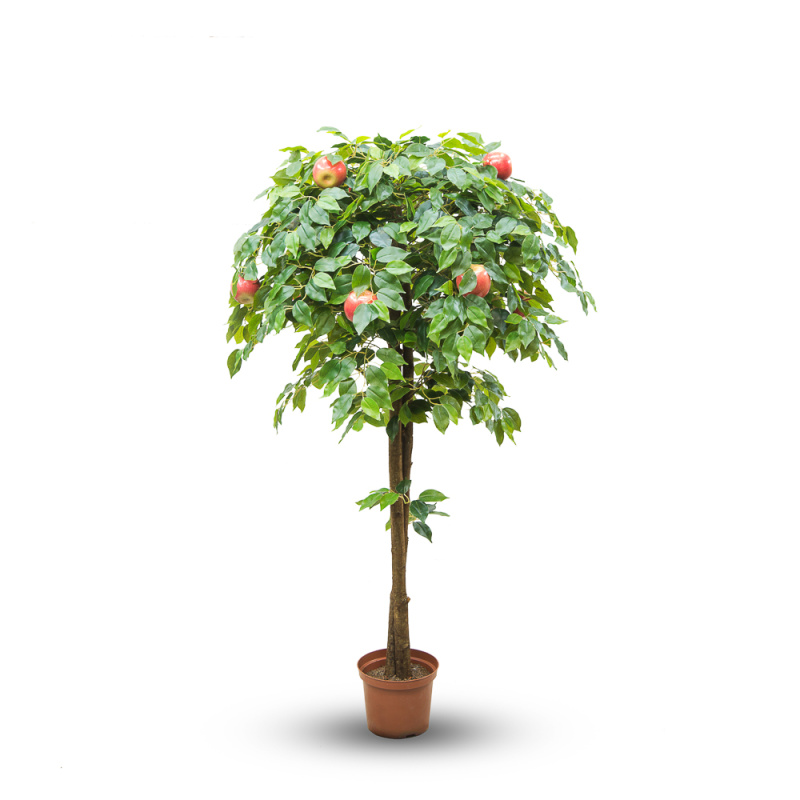160/УК/35 Яблоня (удлин. крона) 160 см(латекс)