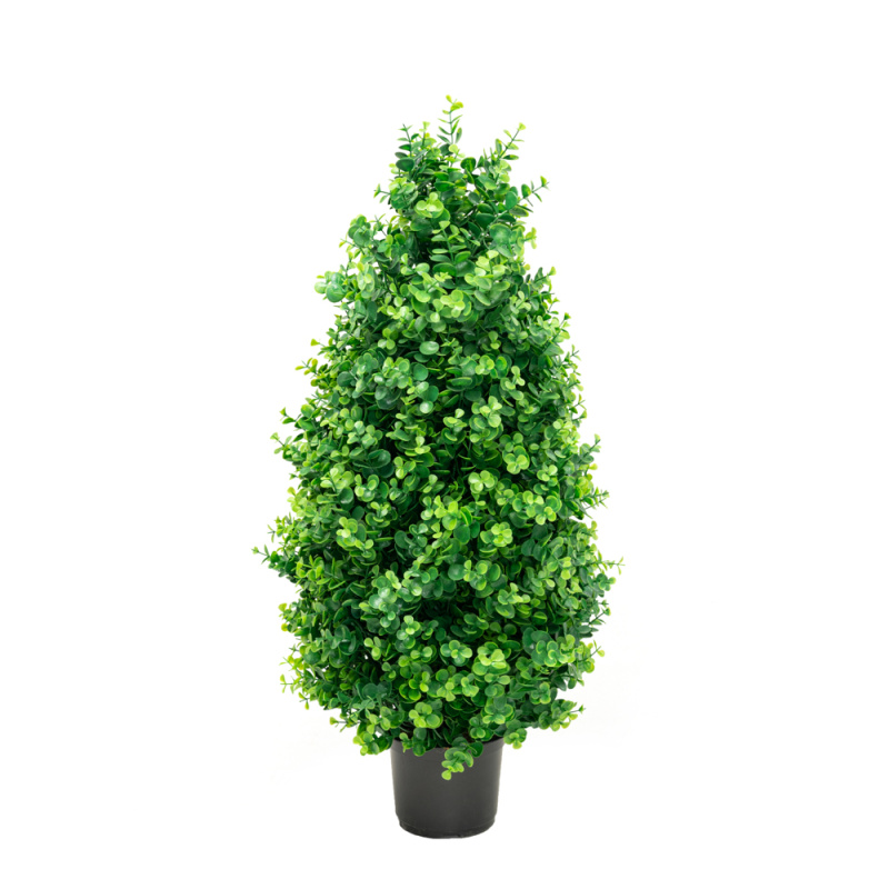 СК80/228 Самшит-конус Эвкалипт h80см