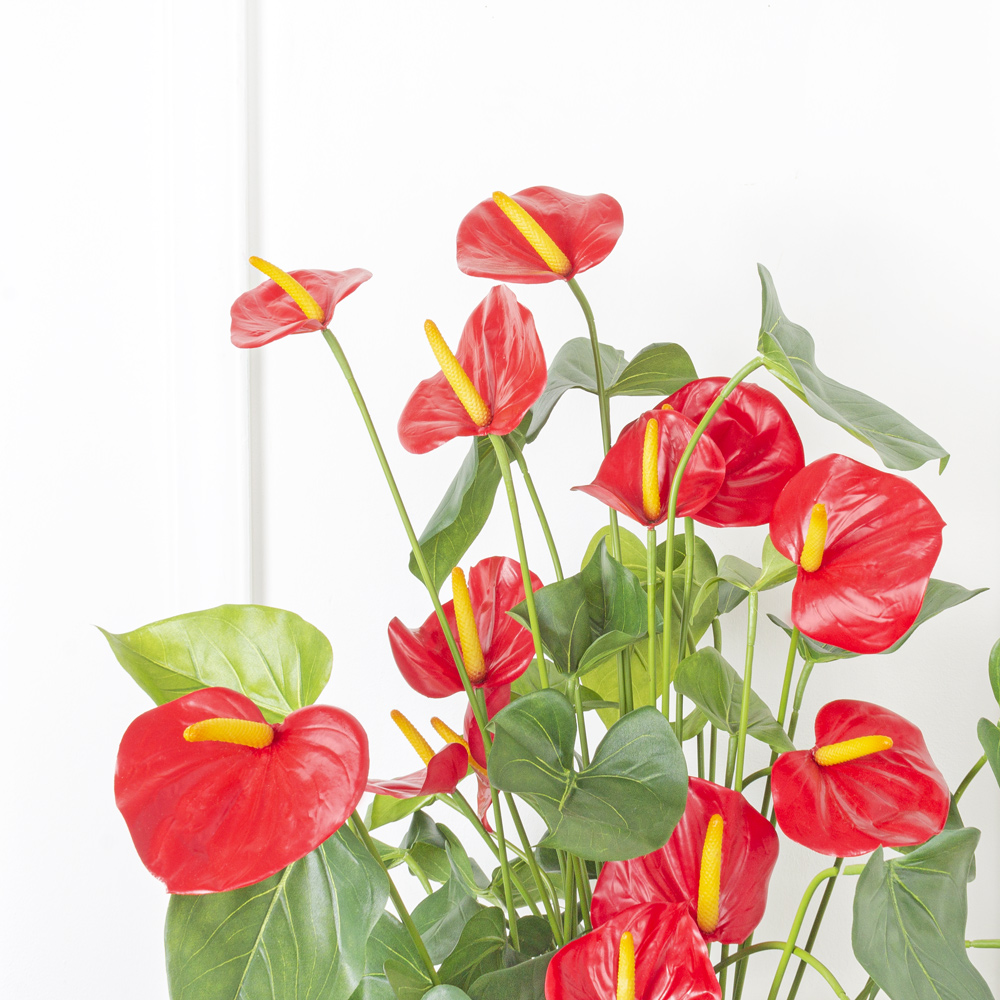 75/484(МТ)(Fix) Антуриум искусственный h75см_2