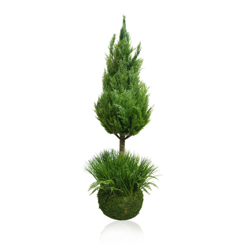 ККДД180/201(з.) Кокедама d40см Туя-конус 