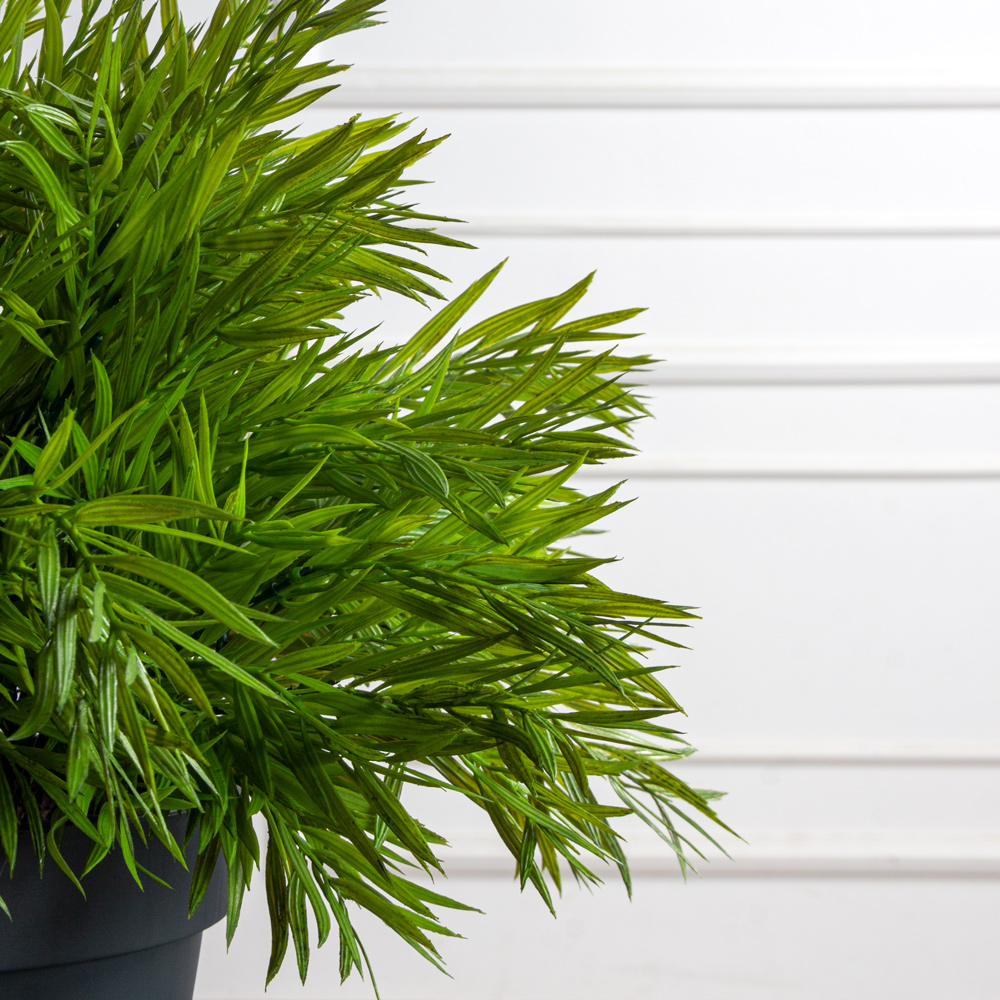 КС129(з)(F) Погонатерум в кашпо d23см_2