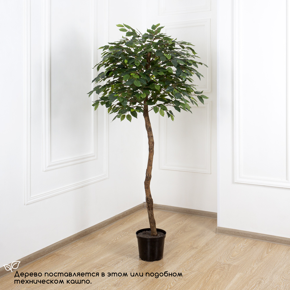 160/34 Фикус искусственный(латекс) h160см_4