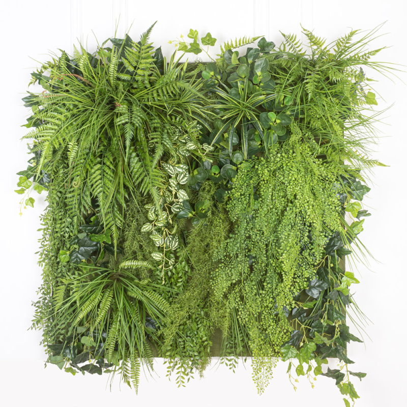 Фитостена 154