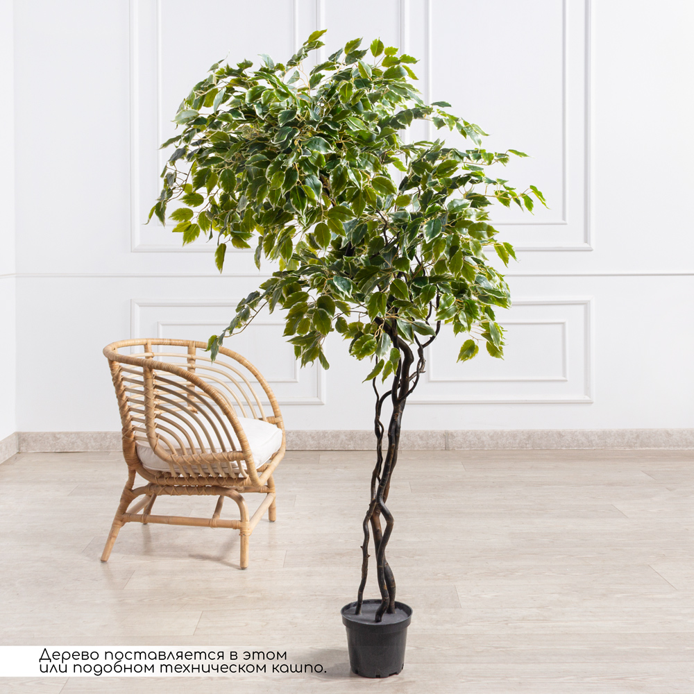 160/ВИТ/17(Пр)(F) Фикус Бенджамина искусственный h160см_1