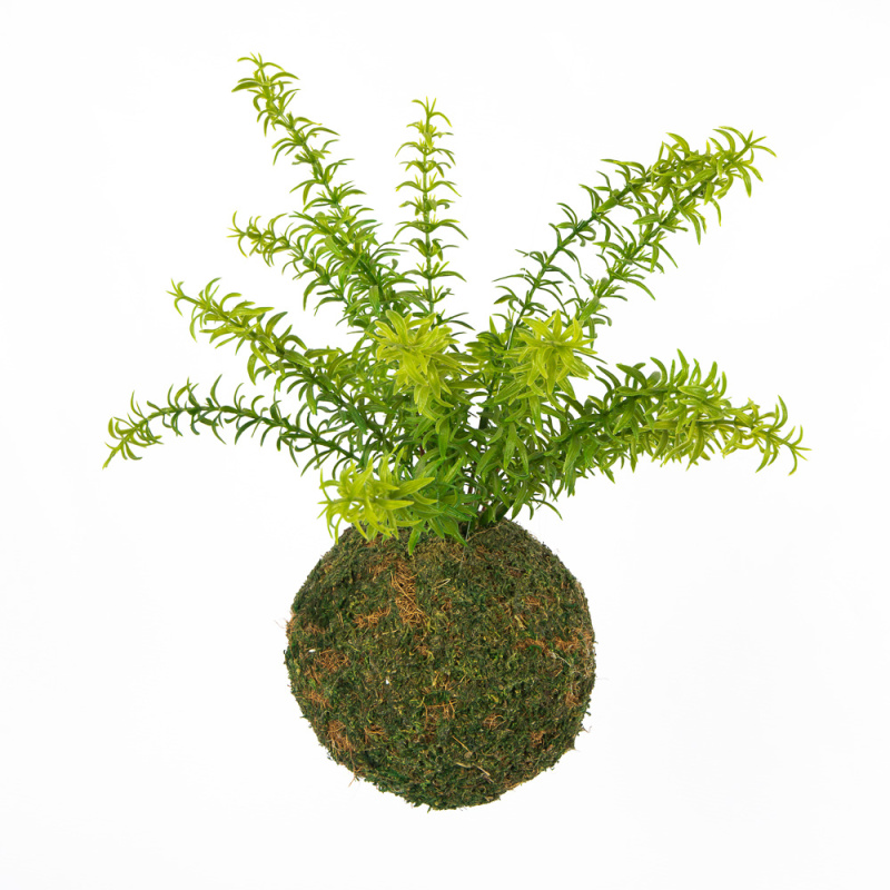 ККД36/209 Кокедама d-15 