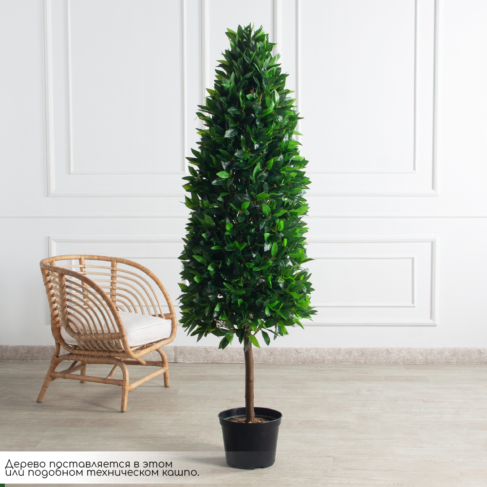 180/ДК/ШТ/188(Пр)(F) Лавр искусственный конус h180см (латекс)_2