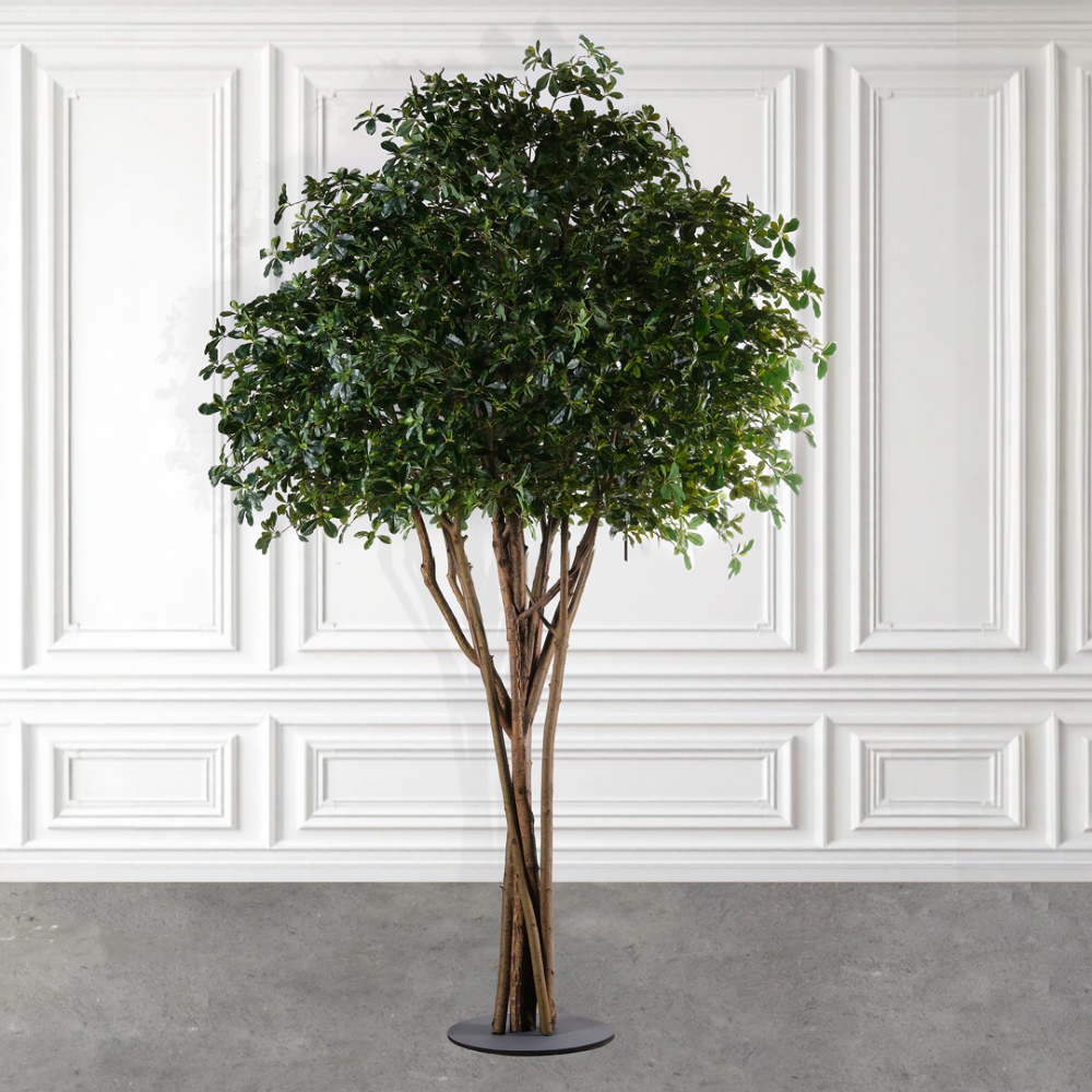 320/РН/84-1(з)(F) Шеффлера искусственная h320см на основании_2