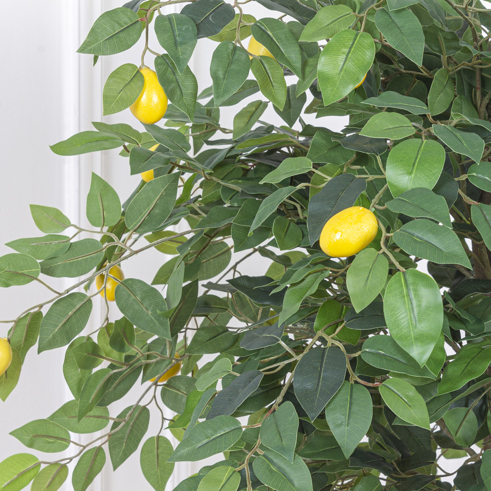 БП 110/41 Бонсай плодовый Лимон-мини h110см(латекс)_9