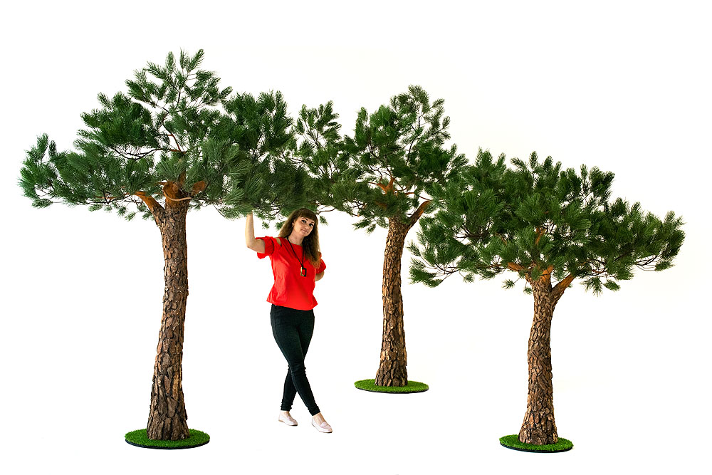 275разб/нат/224(з.) Сосна с натур.корой h-275см_5