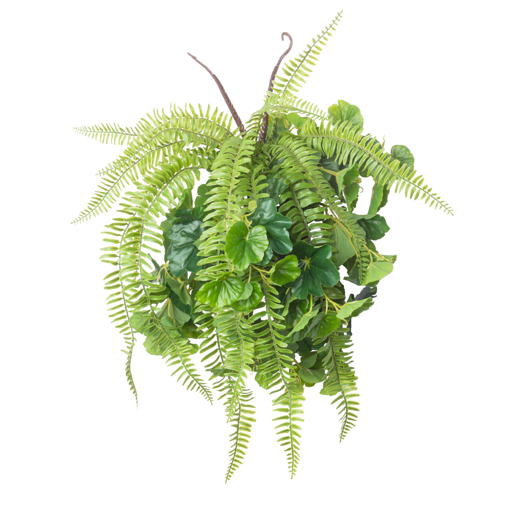 БК 04 Композиция с папоротником Экзальтата на блоке 15*h10_22