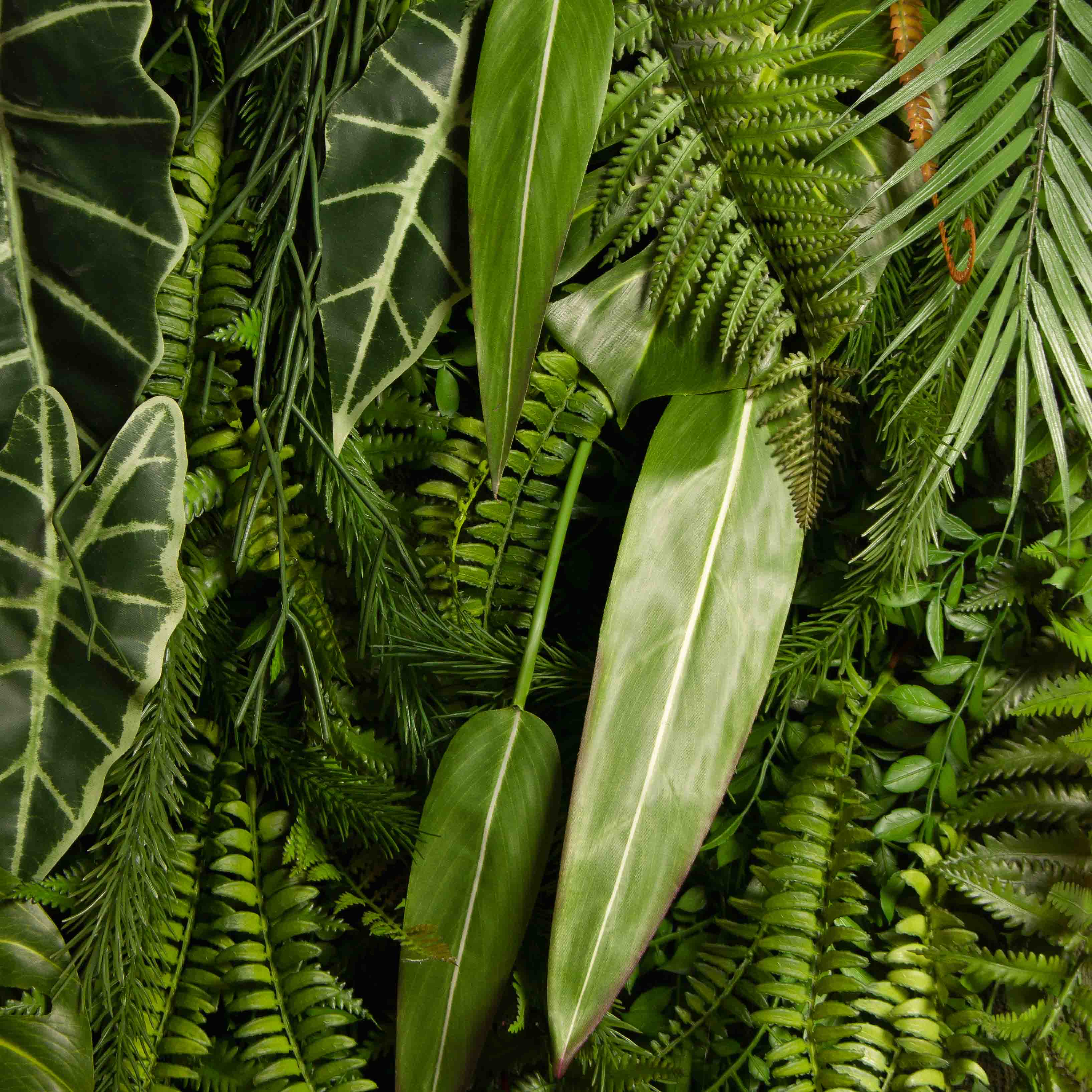 ФТС178(Пр)(F) Фитостена,  за 1кв.м_2