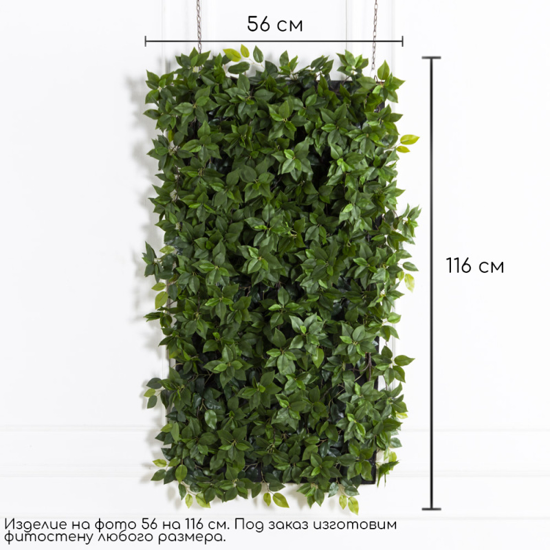 ФТС219(Пр) Фитостена,  за 1кв.м_1