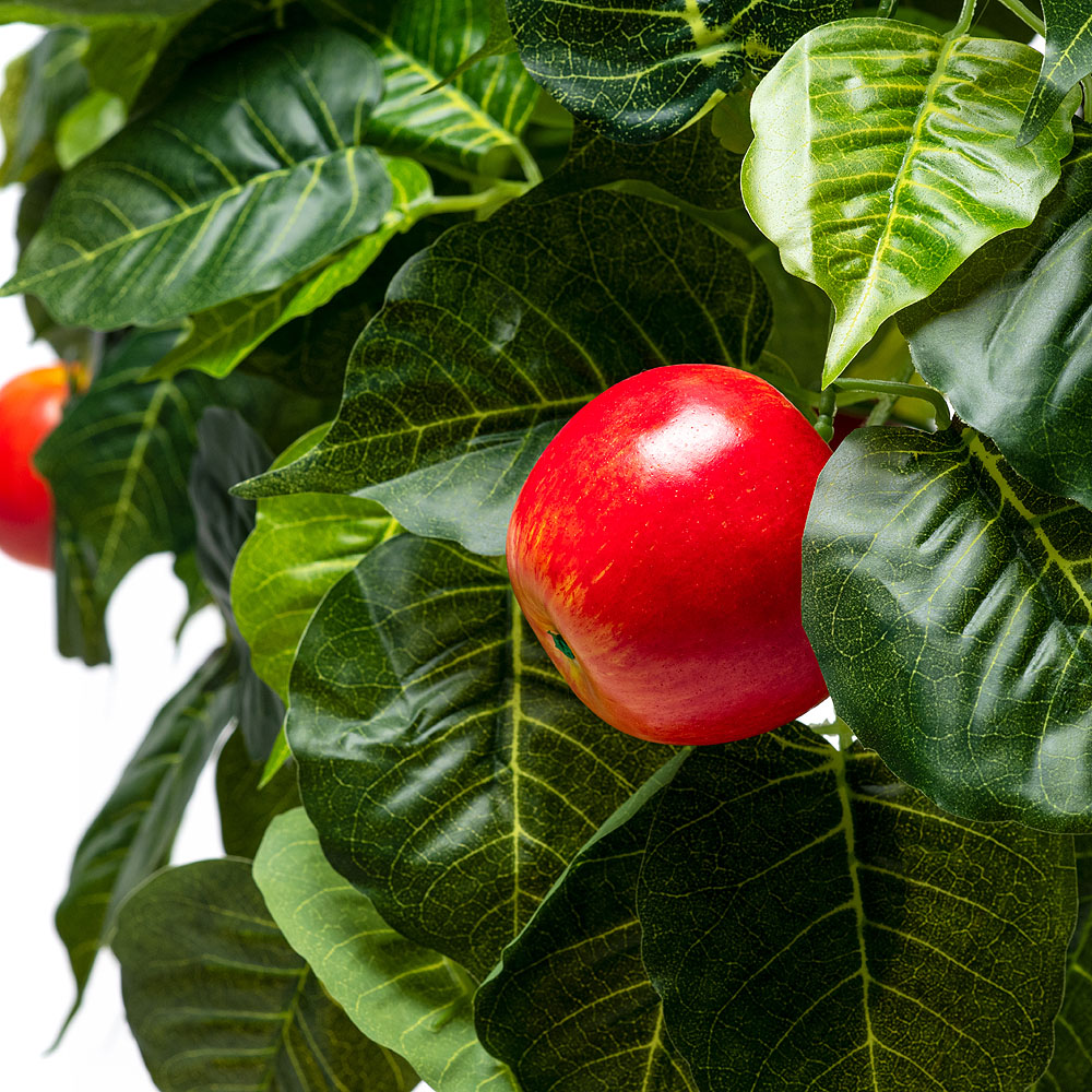 180/РПК/35 Яблоня 180см_2