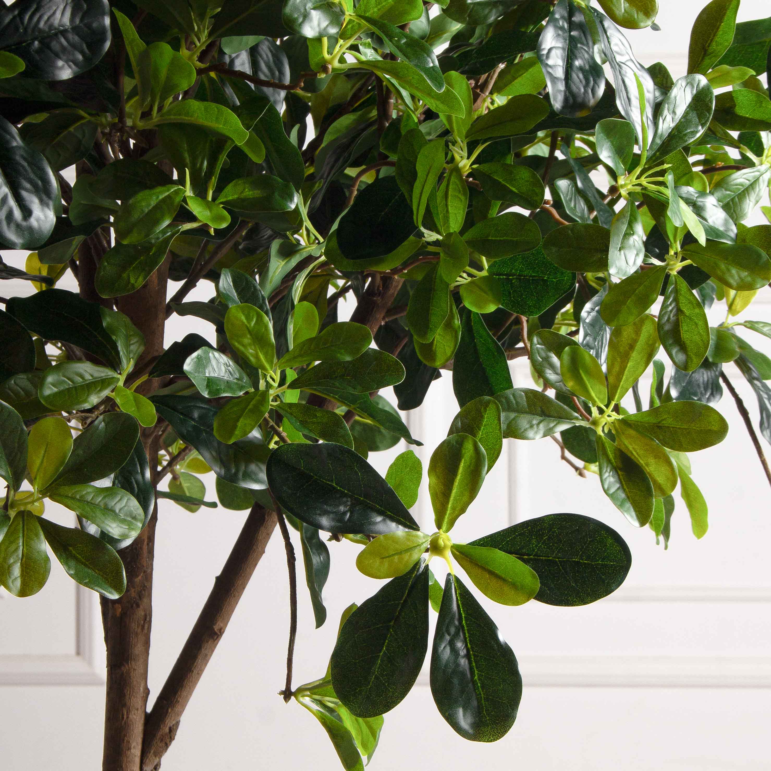 150/РН/84-2(з)(F) Шеффлера искусственная h150см_7