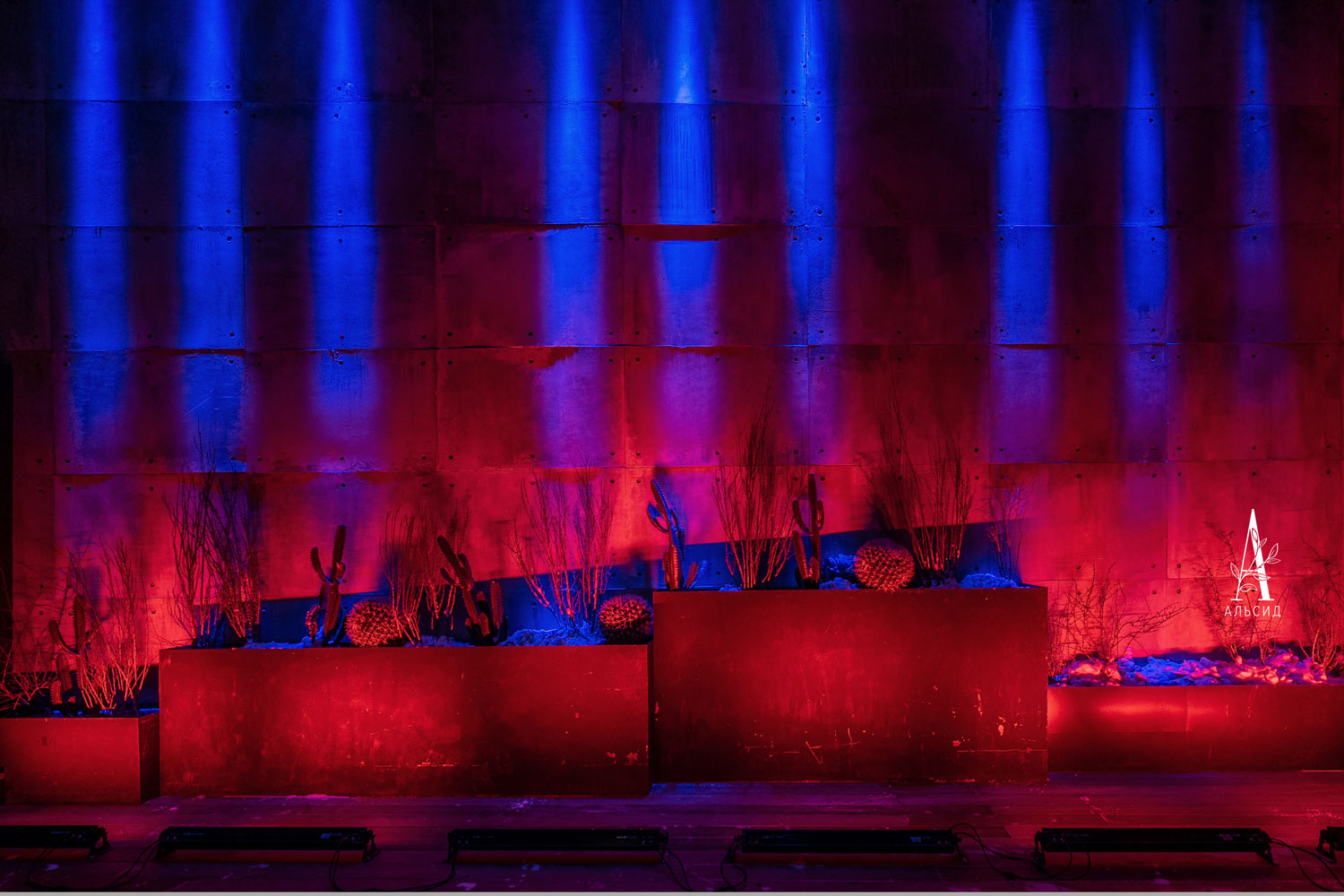 115/485(МТ)(Fix) Кактус искусственный Цереус h115см_3