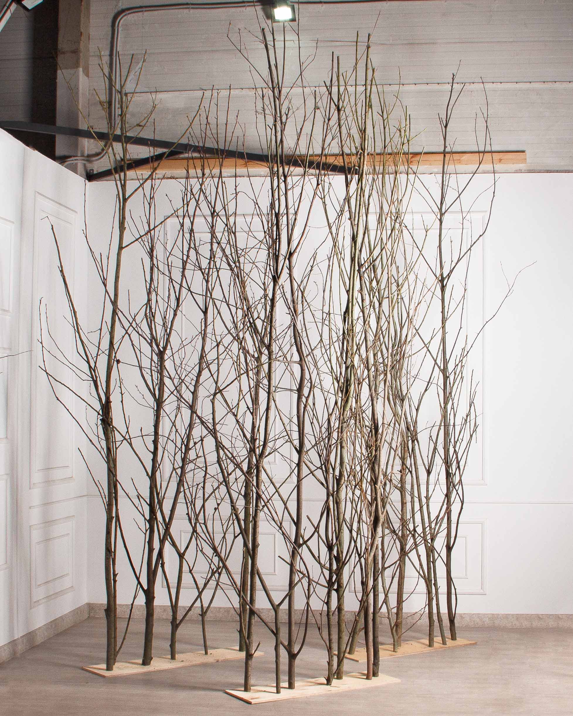 ДИ01-3(з)(F) Изгородь искусственная декоративная 316,5хh370см_5