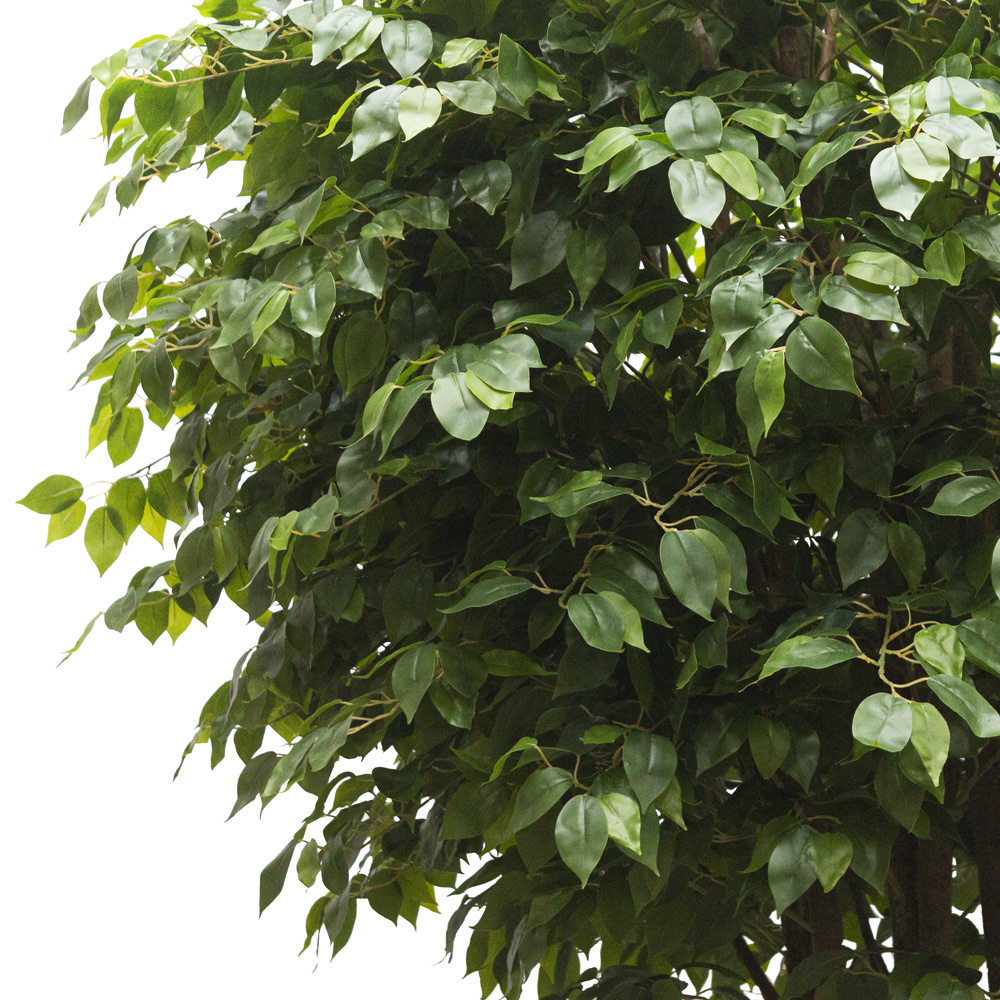 300/РН/34-1(з) Фикус искусственный h300см _5