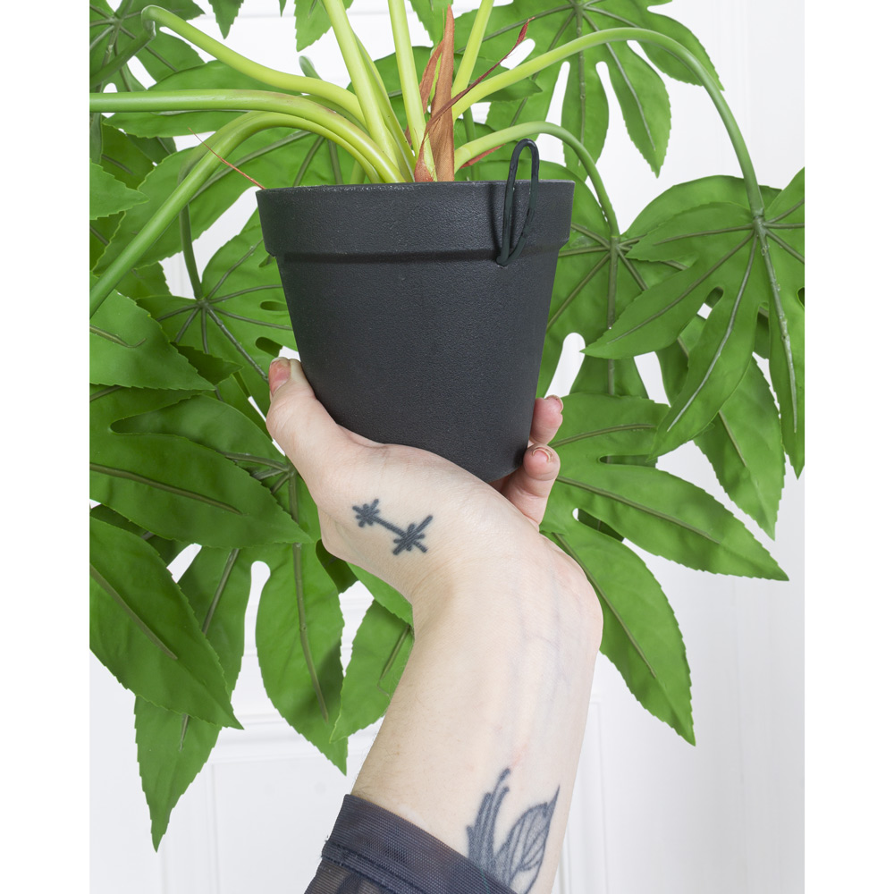 КС72-1 Бегония ампельная вишневая в кашпо_4