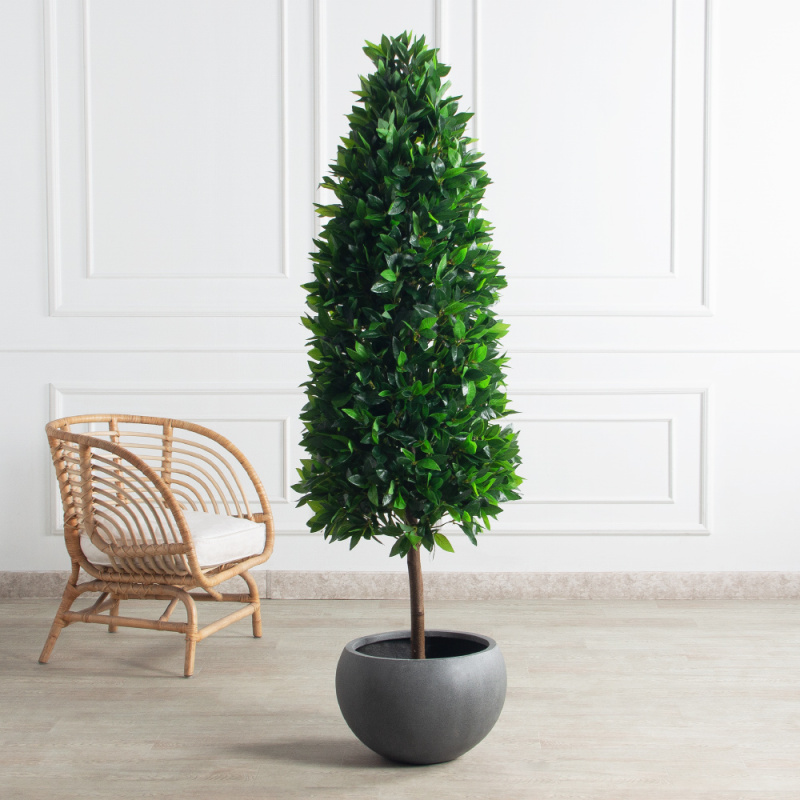 180/ДК/ШТ/188(Пр)(F) Лавр искусственный конус h180см (латекс)_1