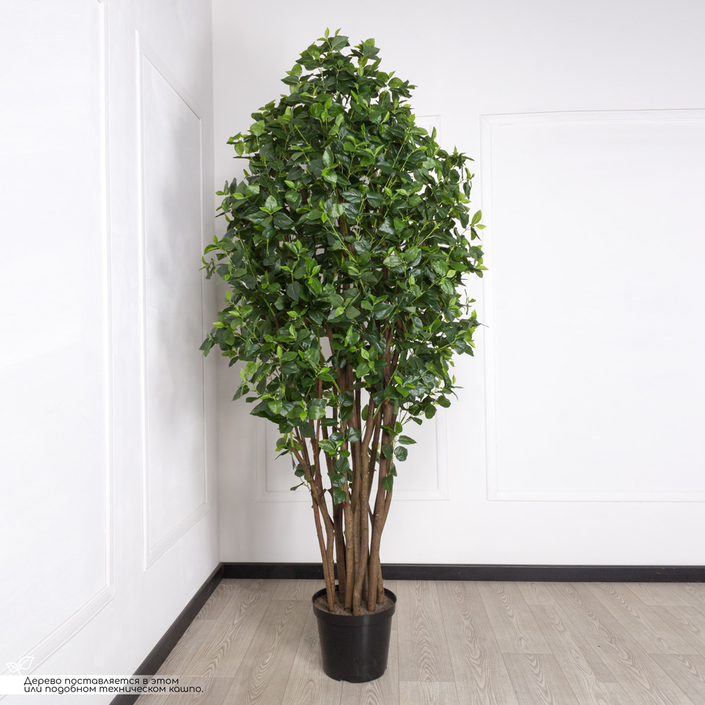 240/К/458(з) Колеус искусственный куст h240см, зеленый_1