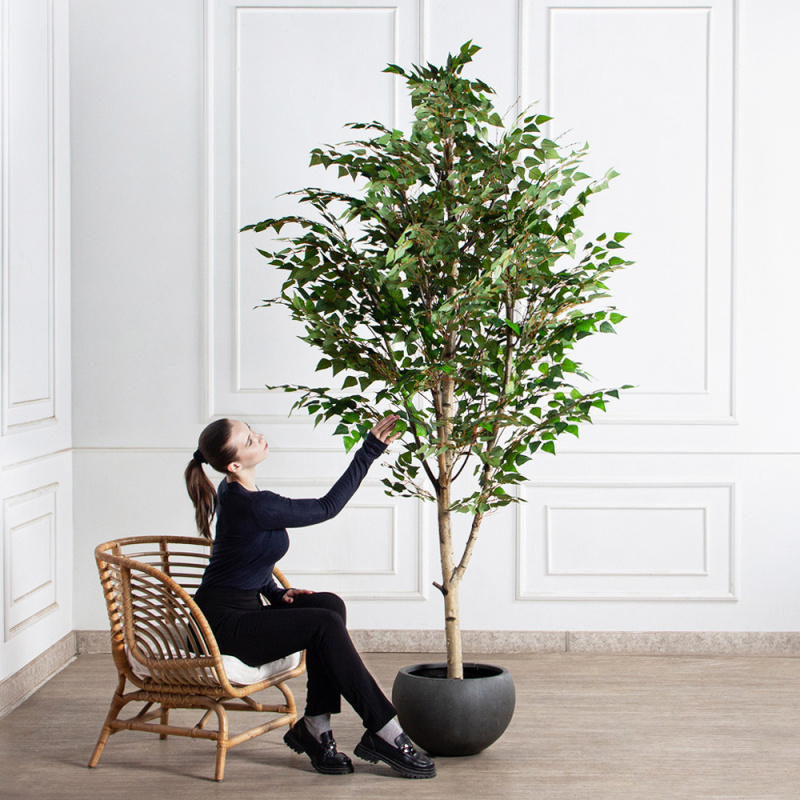 230/РН/12М(з)(F) Береза искусственная h230см, d120см_1