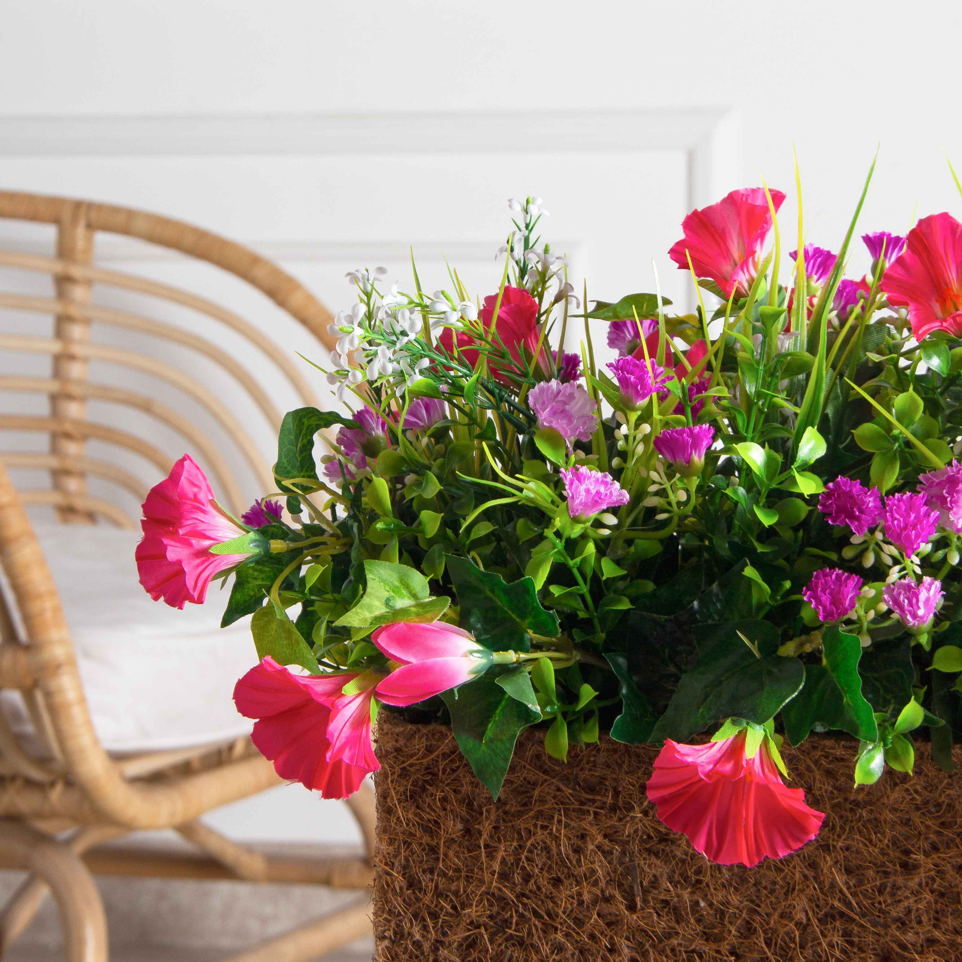 Ц601-4(з.)(F) Петуния ампельная (розовая) h17см(латекс) в кокосовом боксе 35х15х17см_3