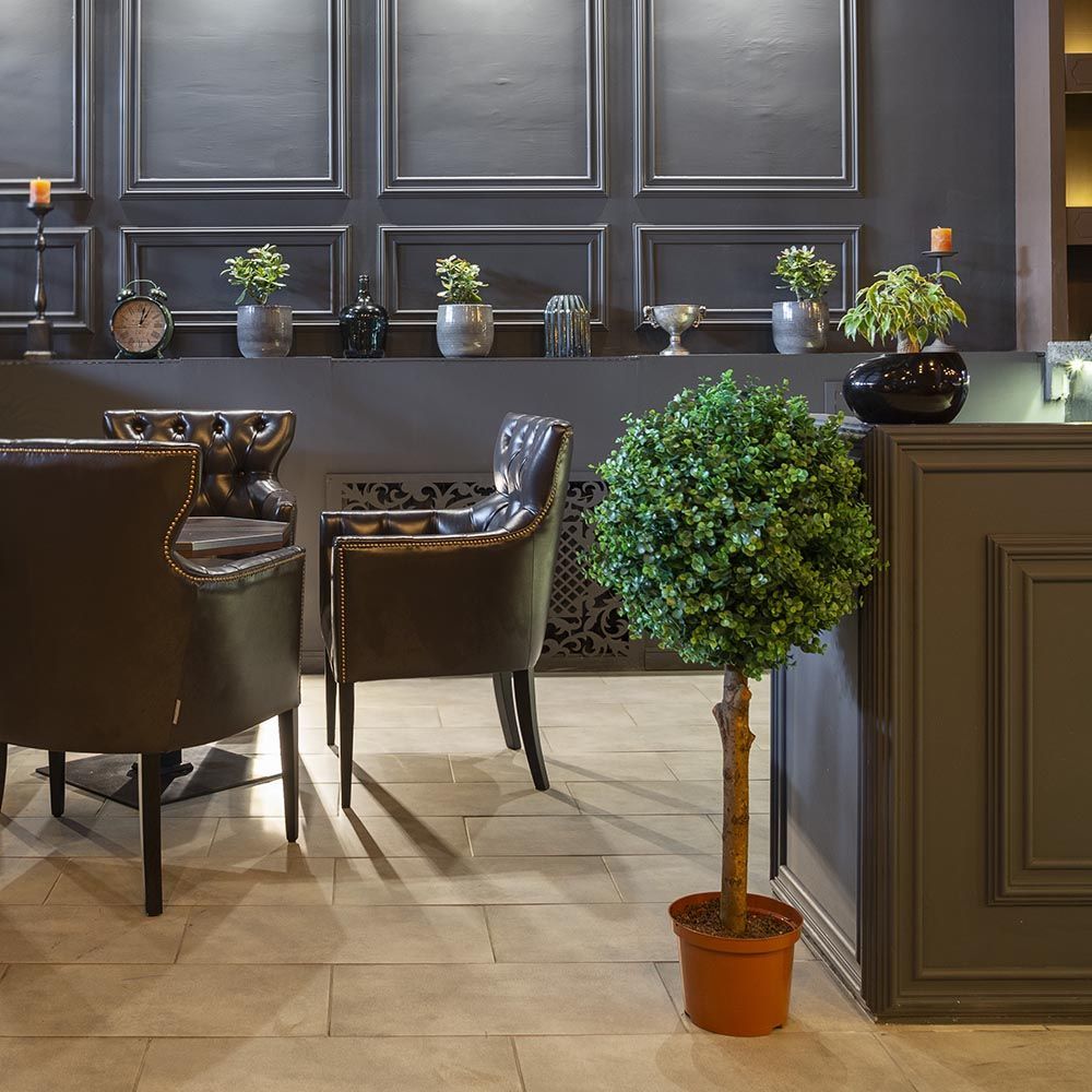 СШ110/228-1 Самшит-шар эвкалипт 