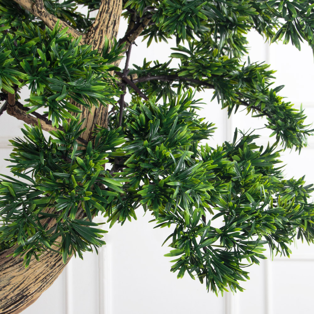 180МЕТ/АСС/241(з)(F) Подокарпус интерьерный h180 d110см_7