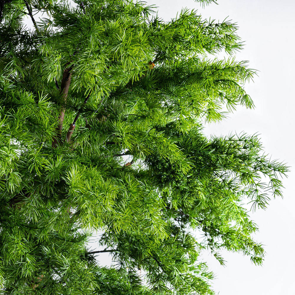 310/РН/310(з)(Пр)(F) Лиственница искусственная h310см, d180х110см_6