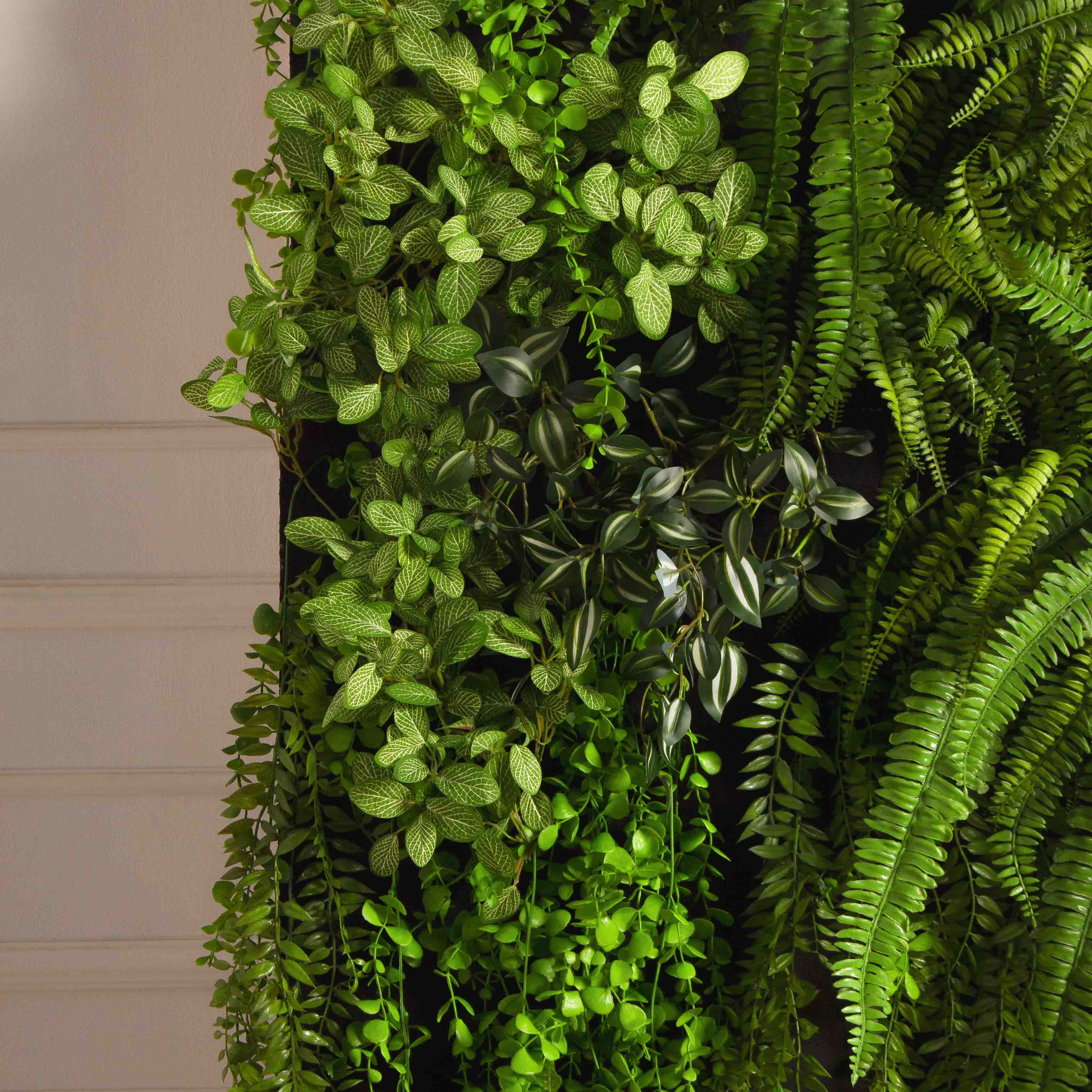 ФТС179(Пр)(F) Фитостена,  за 1кв.м_8