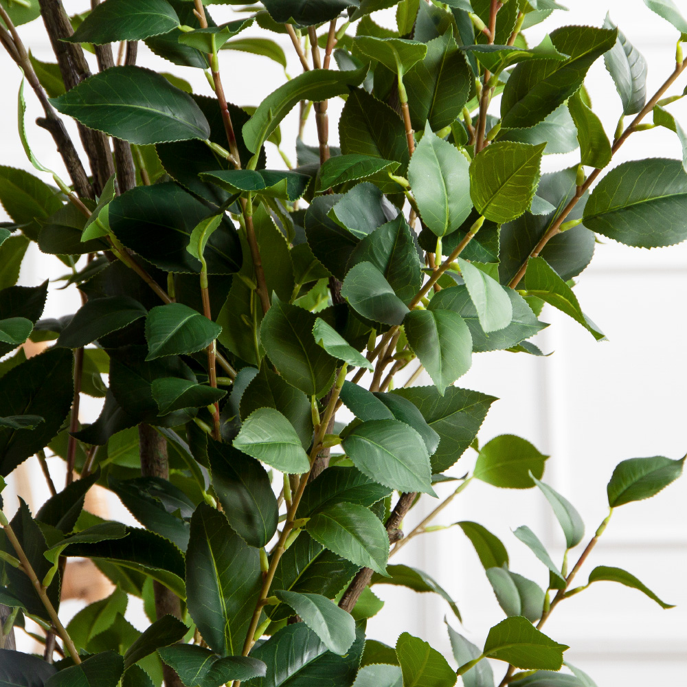 150/К/РН/705(Пр)(F) Фикус искусственный кустовой h150см (латекс)_4