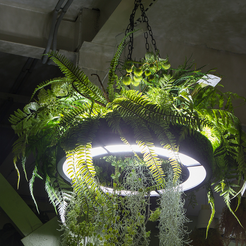 КЗ/27 Композиция с ампельными растениями на декорированной основе d58см с подсветкой на цепях_1