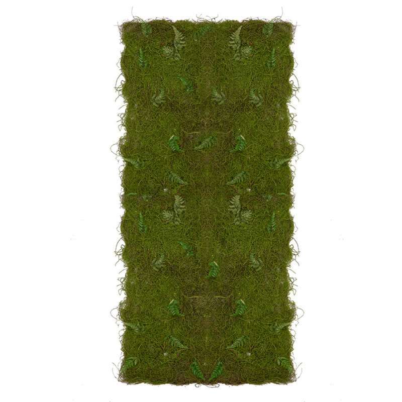 Фитостена 116 Мох с папоротником