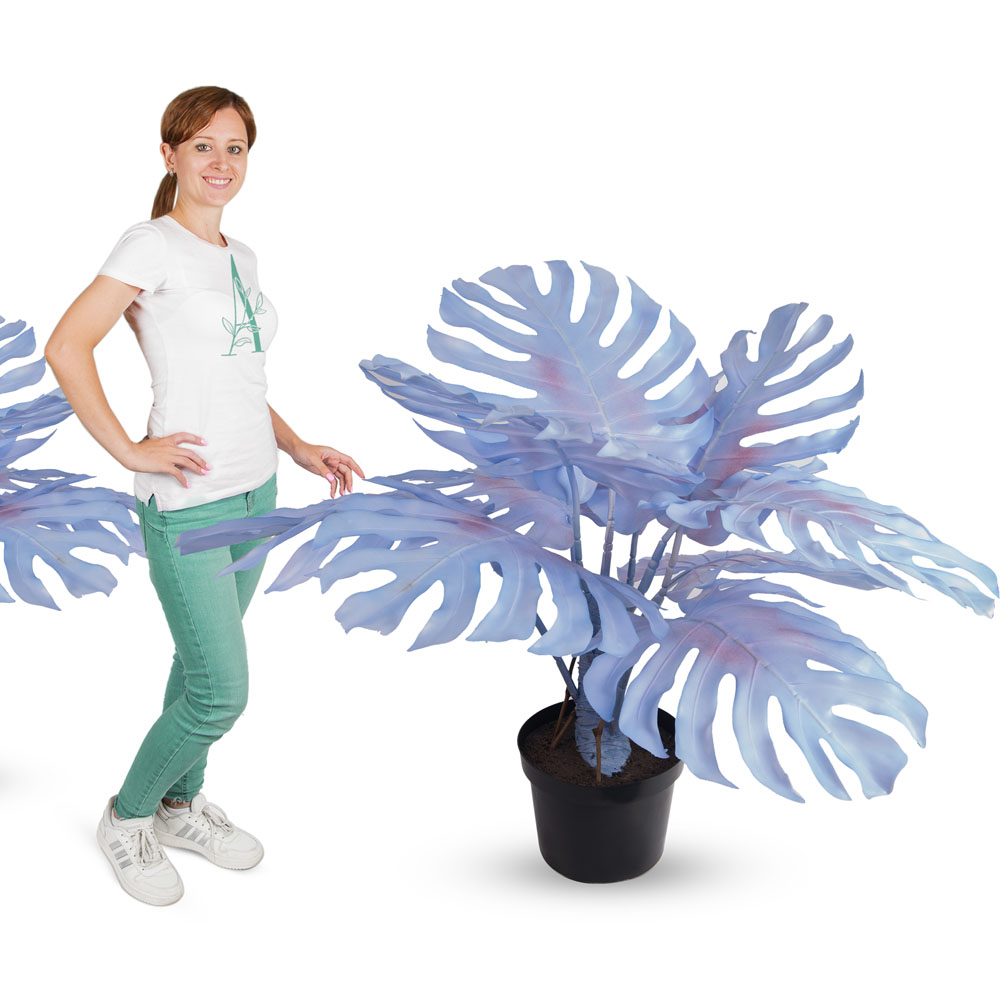 80/К/ССТ/371-1(з.) Монстера мятная на стволе h80см (латекс) _4