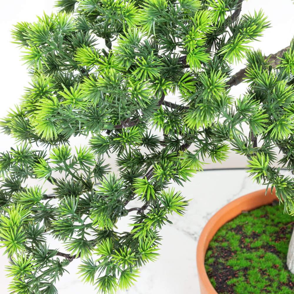 БС050/427(Promo) Бонсай искусственный Сосна h50см _10