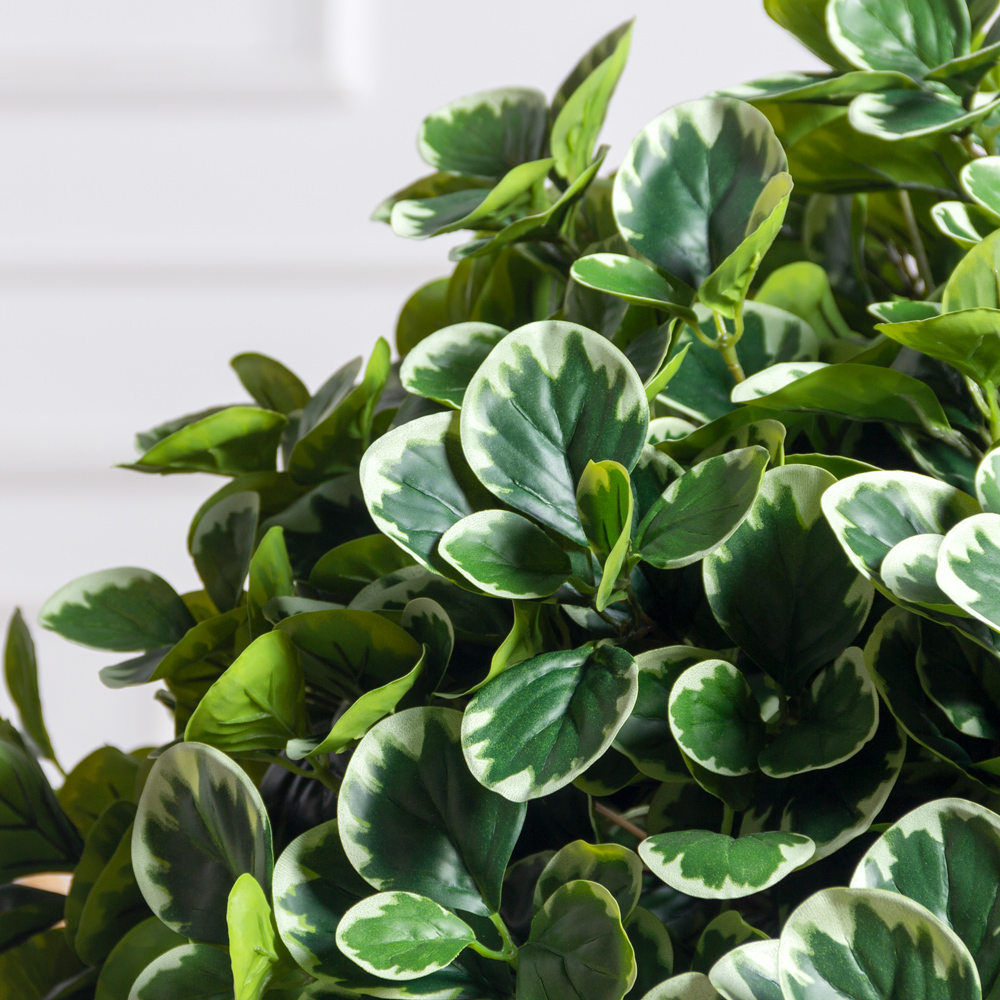 090/К/5199(з)(УУ)(F) Питтоспорум искусственный куст пестрый h90см_3