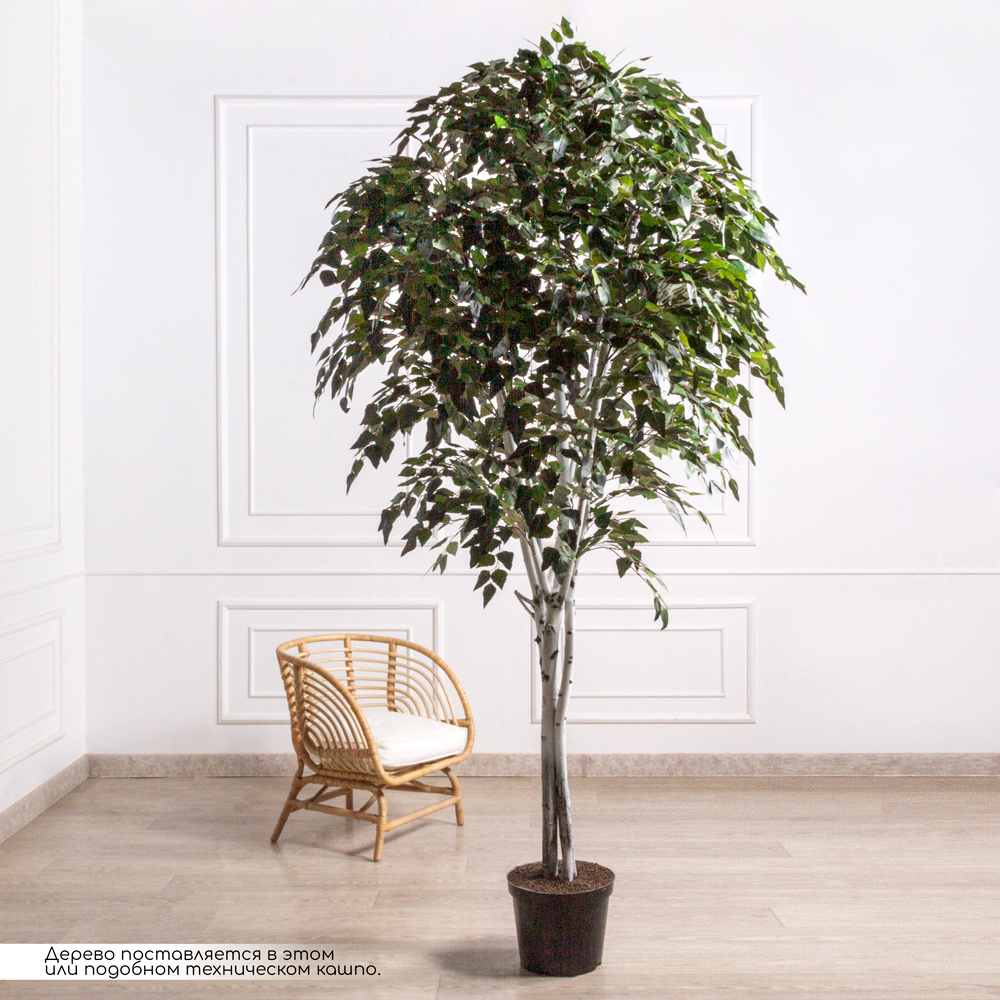 280/РН/12М(з/УУ)(F) Береза искусственная h280см (латекс)_1