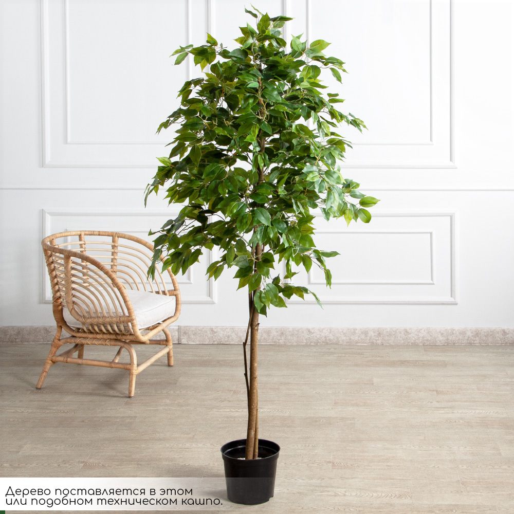 180/РН/ЭК/345(Пр)(F) Фикус искусственный h180см,(латекс)_2