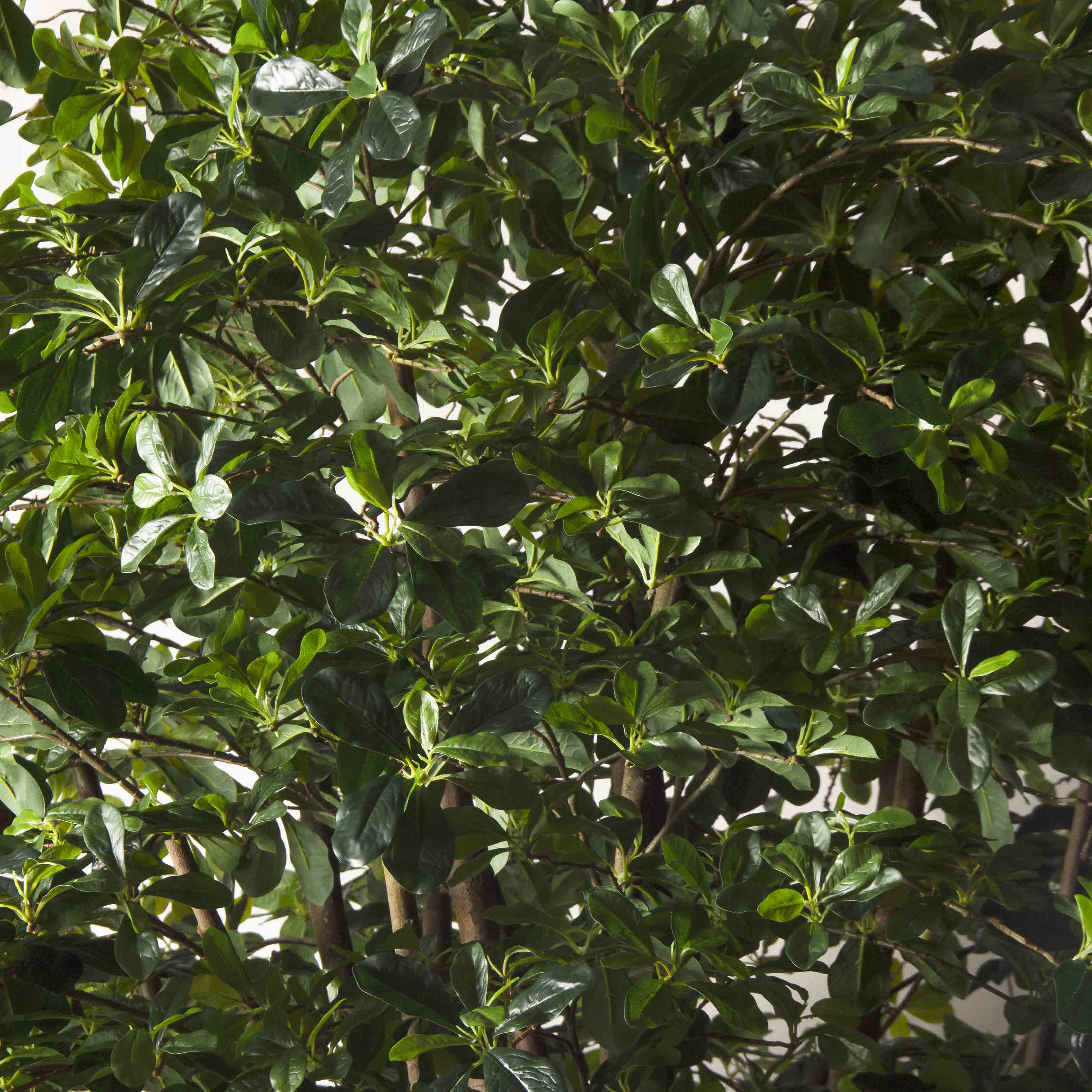 320/РН/84(з)(F) Шеффлера искусственная h320см (латекс)_6