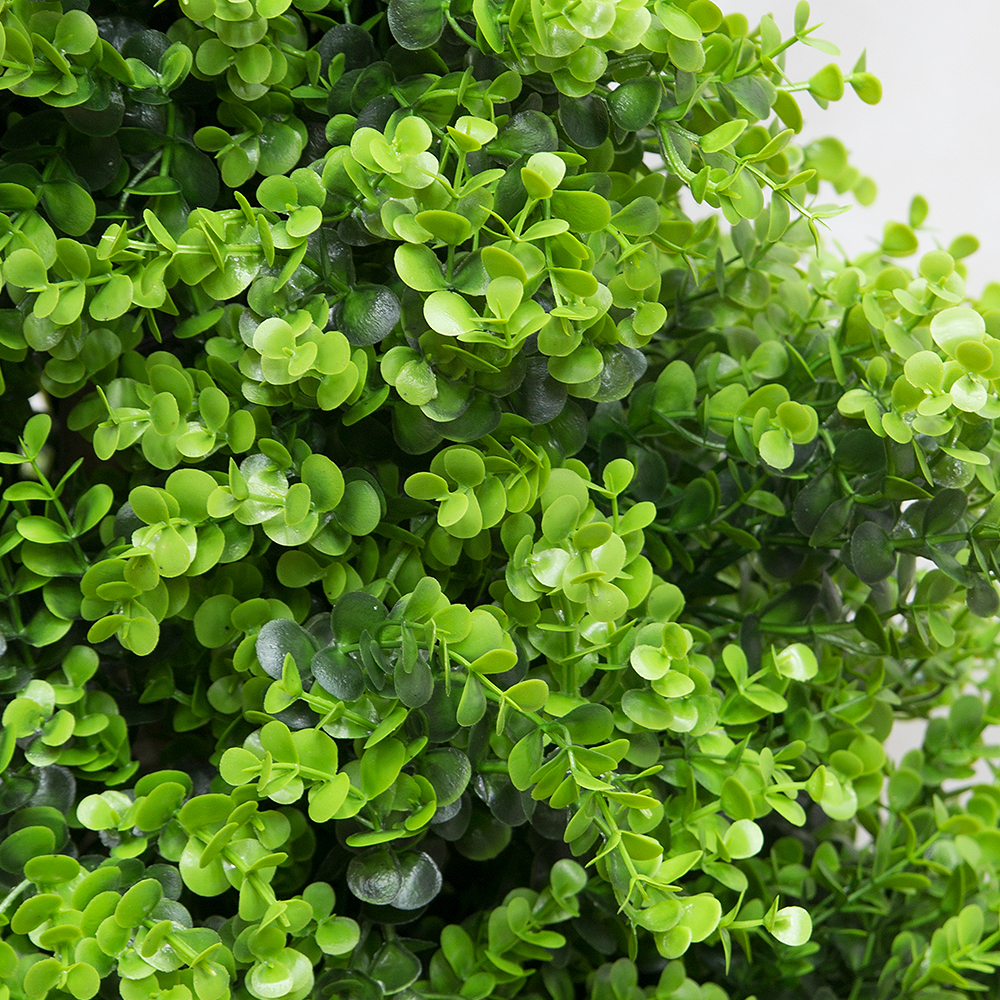 СК110/228(з.) Самшит-конус эвкалипт 