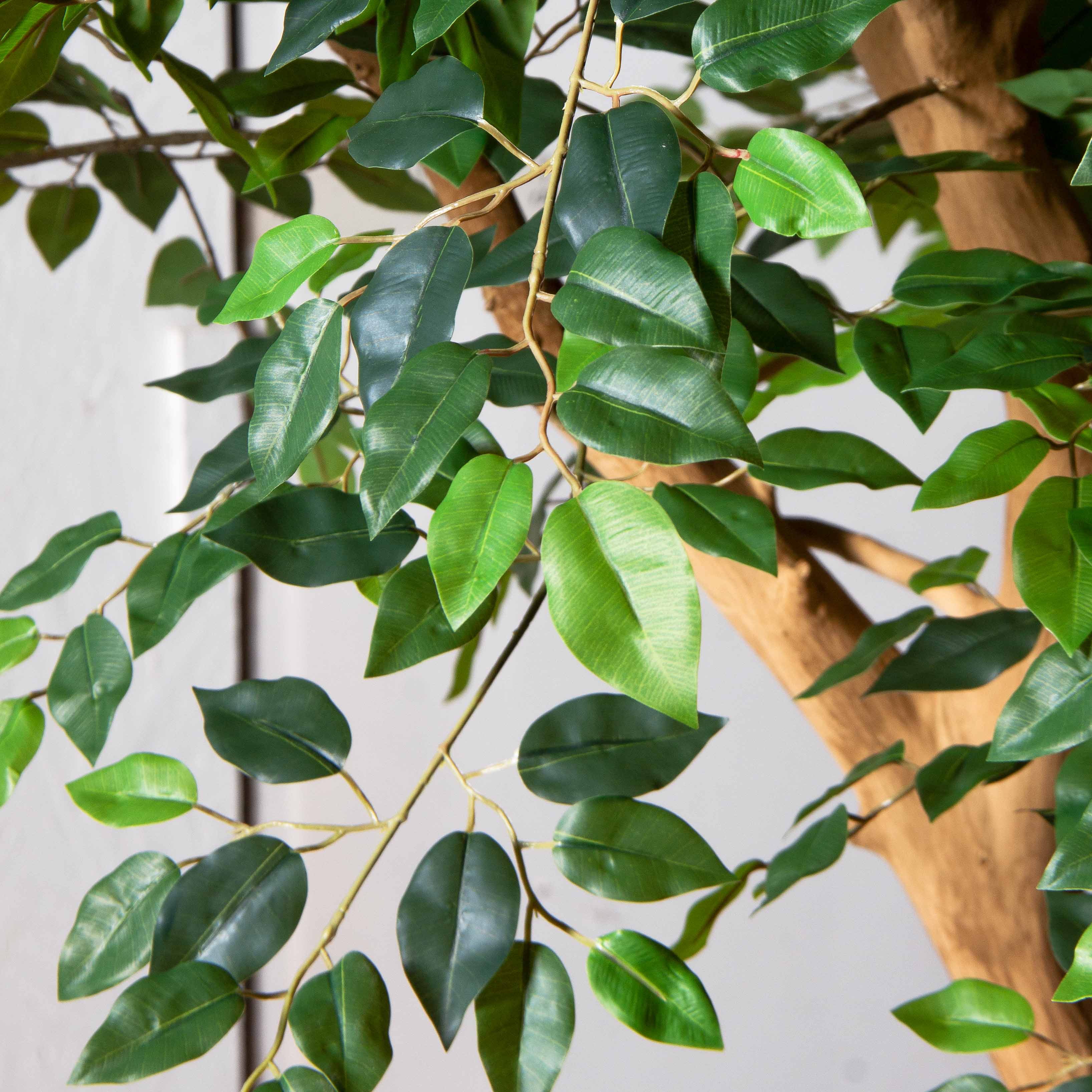 290/ДА/344(Пр)(F)Фикус искусственный h290см_7