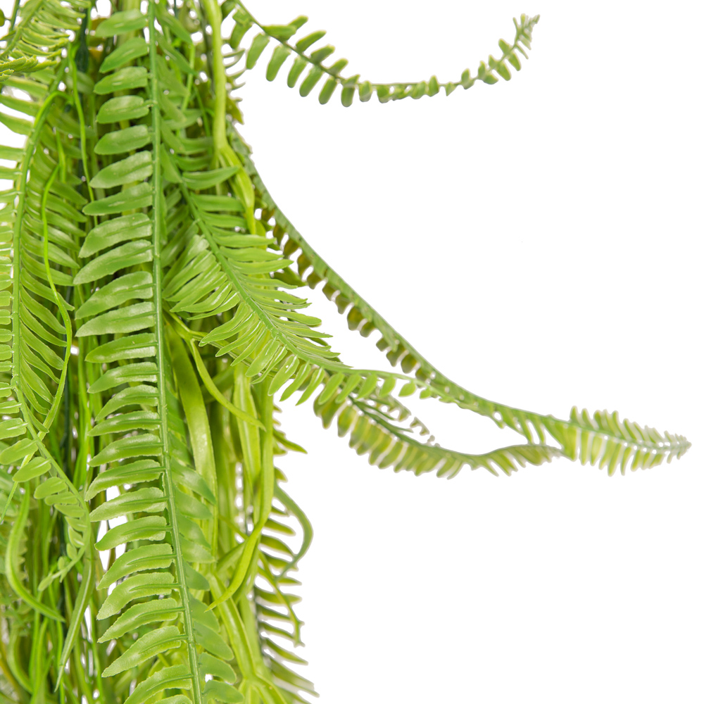 ВМ13-1(з.) Вставка подвесная d10см микс из папоротников(латекс) с ампельными растениями_3