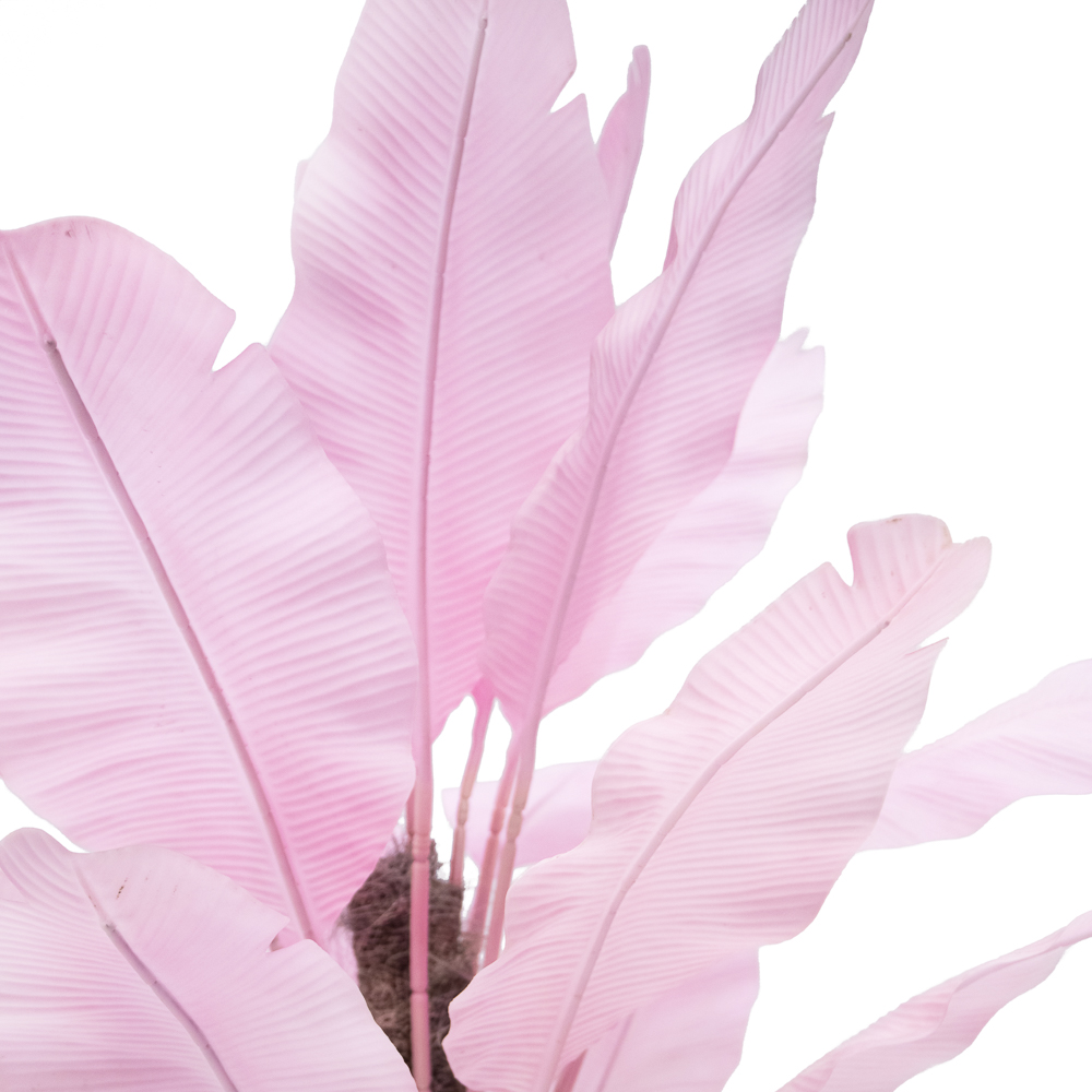 П160/356-2 Банановая Пальма розоая (латекс) h-160см_2