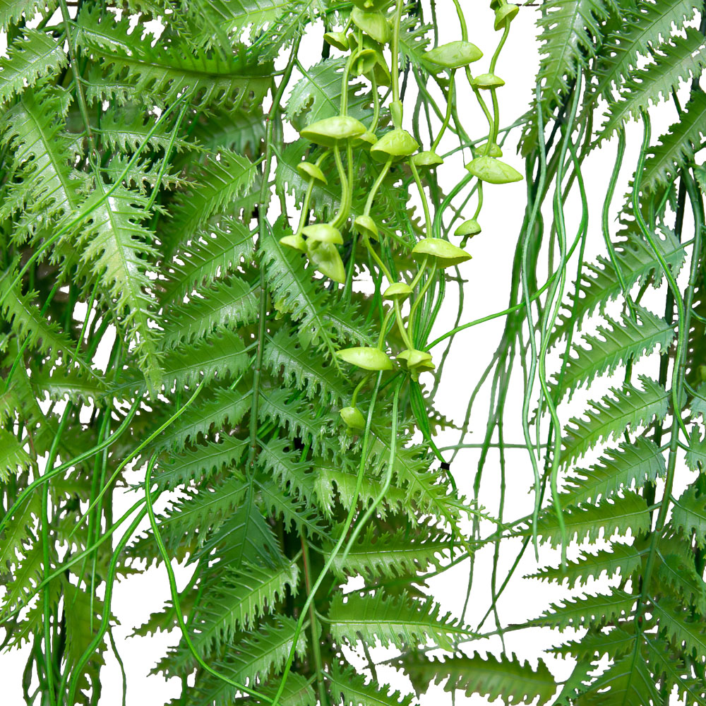 Л39 Лиана с папоротником Щитовник L100см_2