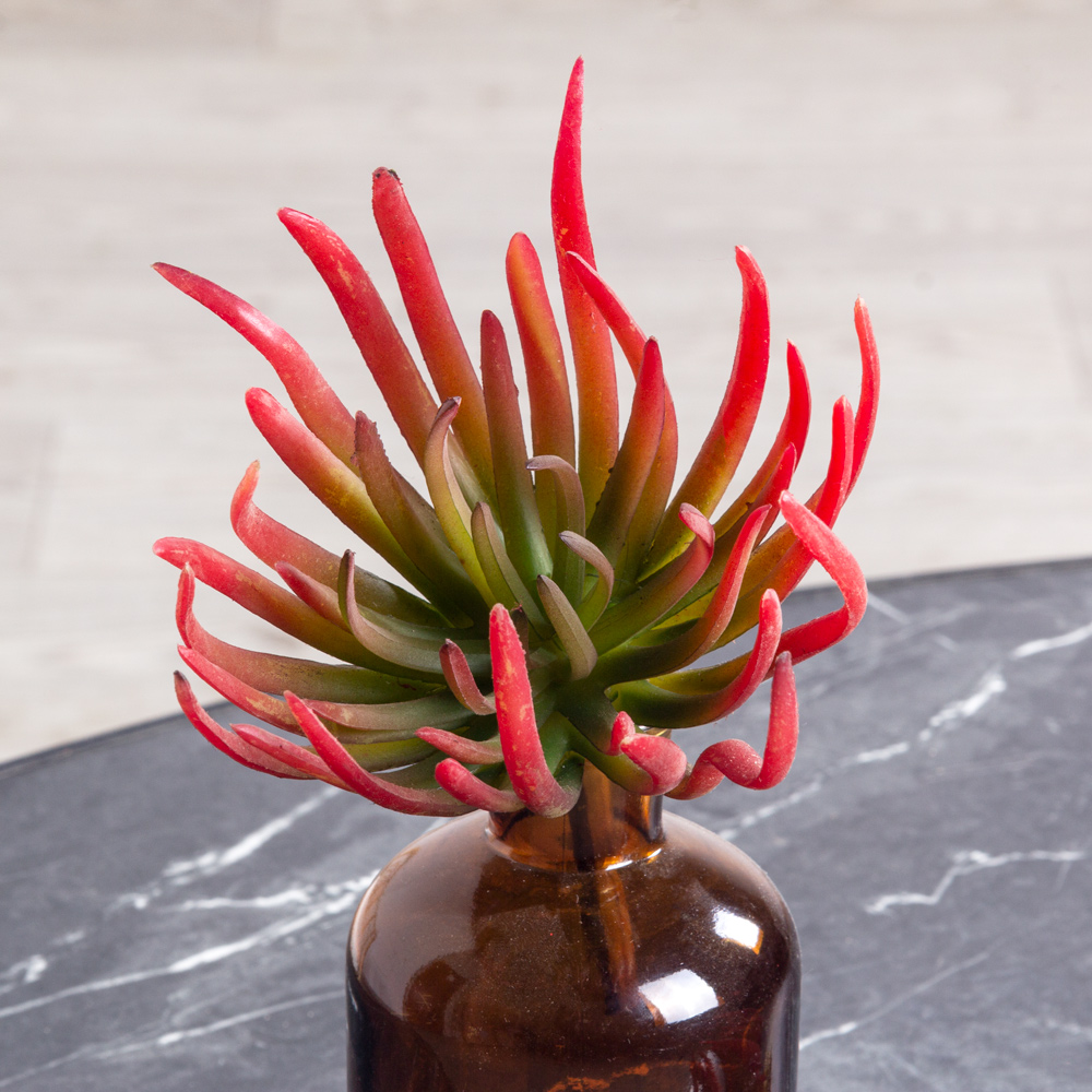 7143/9165-15/2(F) Суккулент искусственный  Эхеверия игольчатая, красная_1