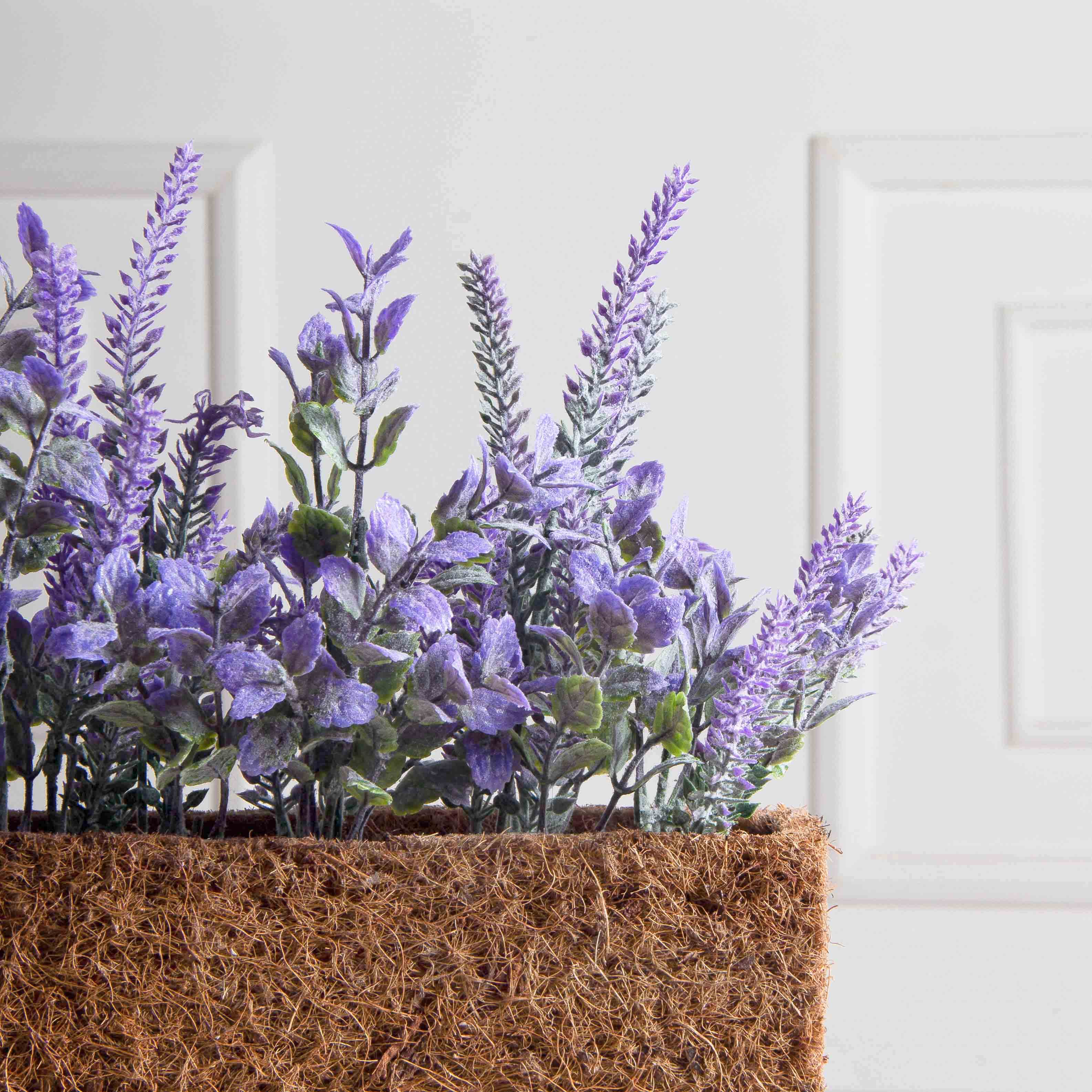 Т034-2(F) Лаванда искусственная h15см в кокосовом боксе 50х8х8см, фиолетовая_6